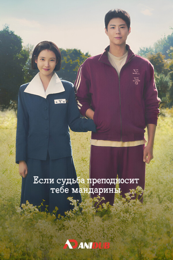 Если судьба преподносит тебе мандарины
